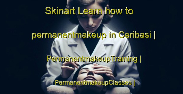 Skinart Learn how to permanentmakeup in Ceribasi | PermanentmakeupTraining | PermanentmakeupClasses | SkinartTraining-Turkey